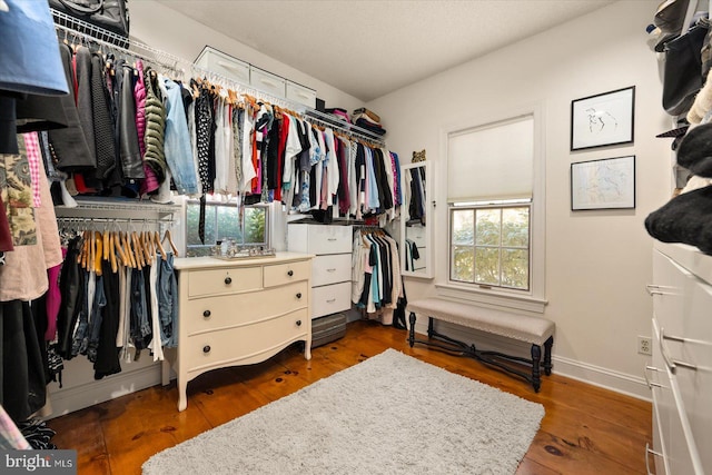 spacious closet with dark wood-type flooring