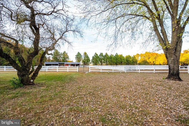 view of yard featuring a rural view