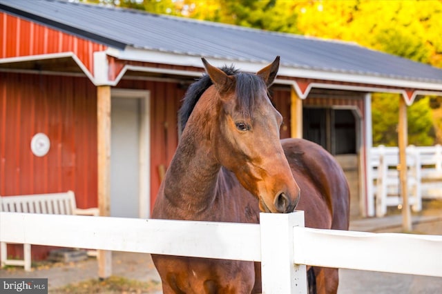 view of stable