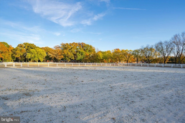 view of yard with a rural view