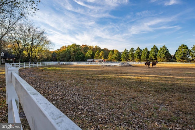 view of yard with a rural view