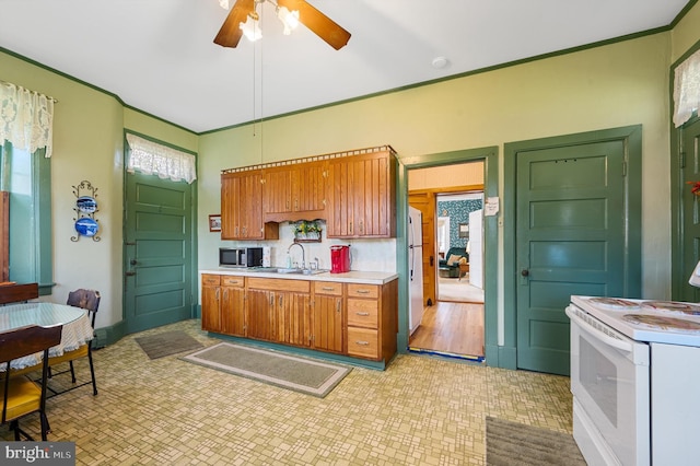 kitchen with ceiling fan, ornamental molding, sink, and white appliances