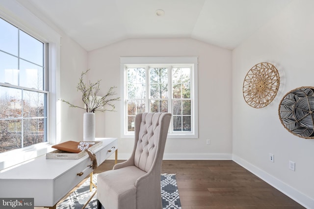 office area with vaulted ceiling, a healthy amount of sunlight, and dark hardwood / wood-style flooring