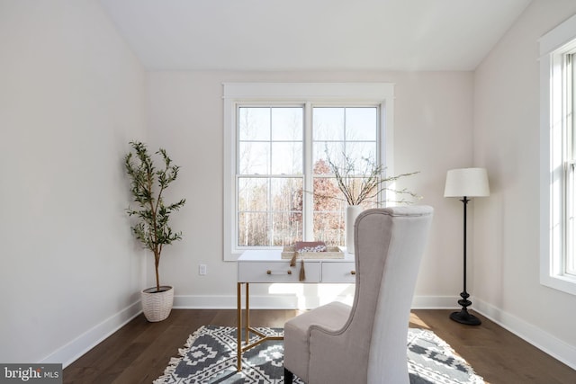 office space featuring dark wood-type flooring