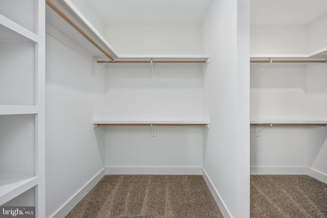 walk in closet featuring carpet floors