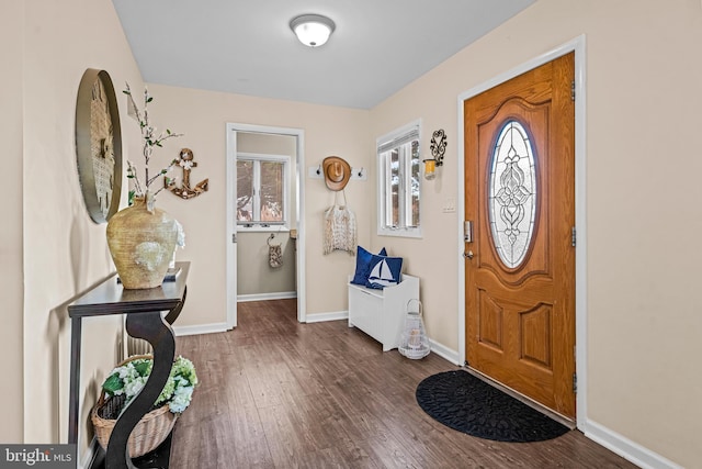 foyer entrance featuring a wealth of natural light and dark hardwood / wood-style flooring