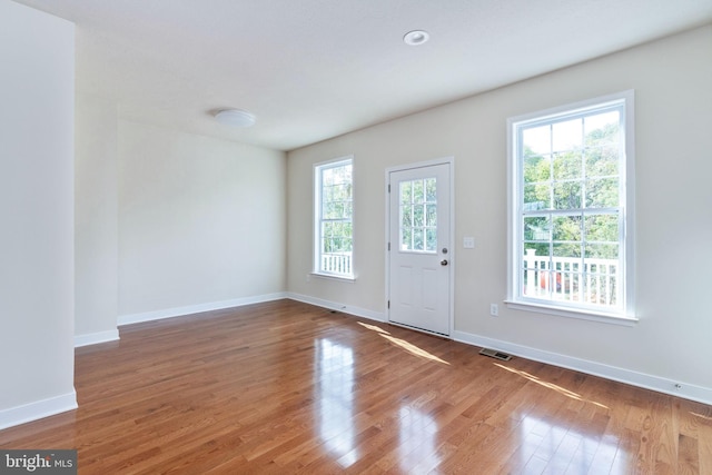 doorway with hardwood / wood-style floors and a healthy amount of sunlight