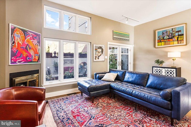 living room featuring wood-type flooring and rail lighting