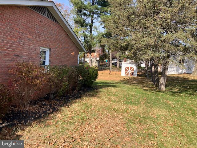 view of yard with a storage shed