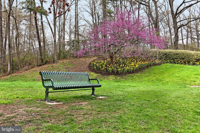 view of community featuring a yard