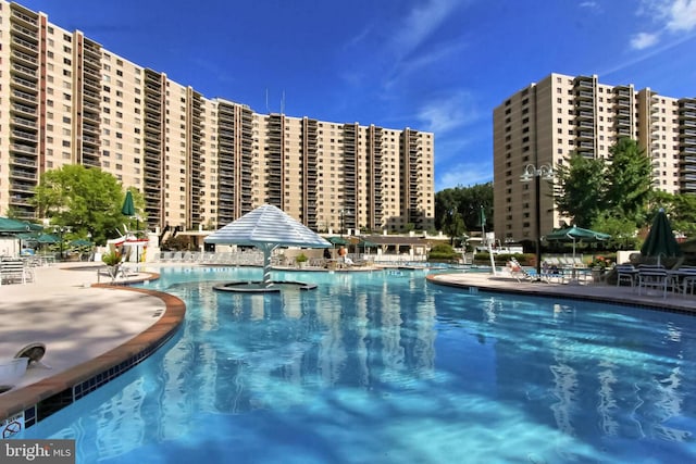 view of swimming pool