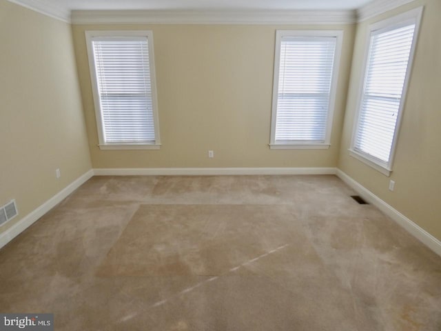 carpeted empty room with ornamental molding and a healthy amount of sunlight