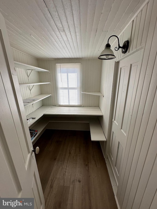 mudroom featuring dark wood-type flooring and wood walls