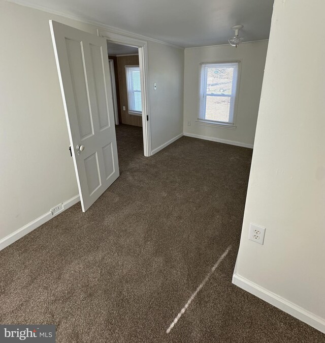 carpeted empty room featuring crown molding