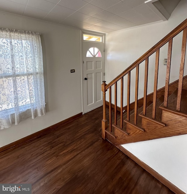 foyer entrance featuring dark wood-type flooring