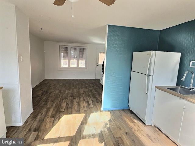 kitchen featuring wood-type flooring, sink, ceiling fan, and white fridge