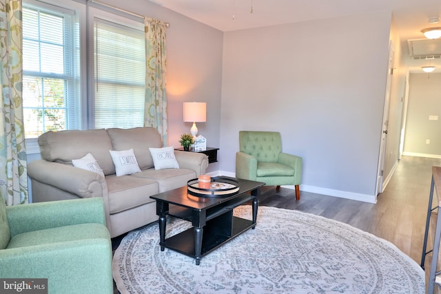 living room featuring hardwood / wood-style floors