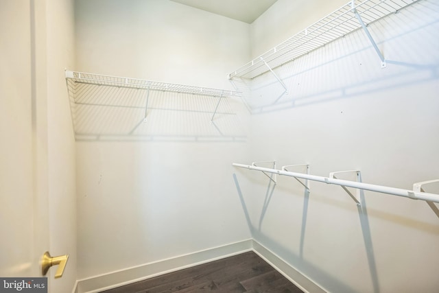 spacious closet featuring dark hardwood / wood-style floors