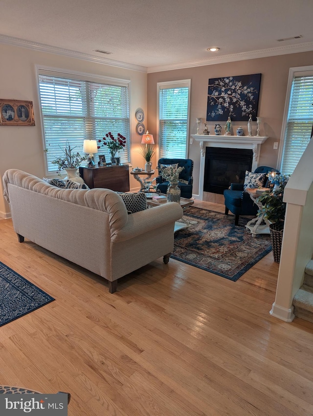 living room featuring light hardwood / wood-style floors and ornamental molding