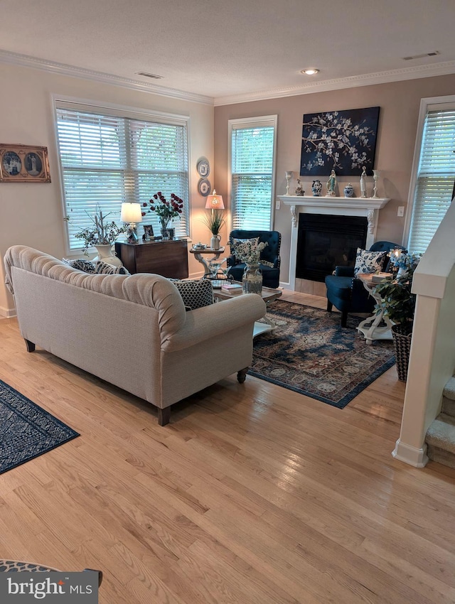living room with crown molding, wood finished floors, a fireplace, and a healthy amount of sunlight