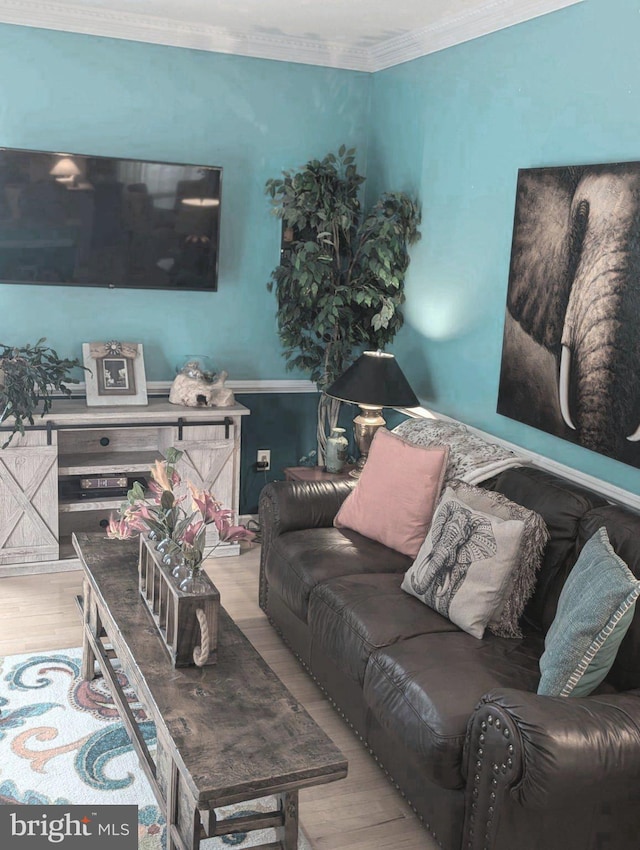 living room featuring crown molding and wood finished floors