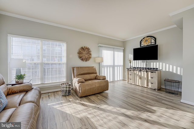 living room featuring ornamental molding and light hardwood / wood-style flooring