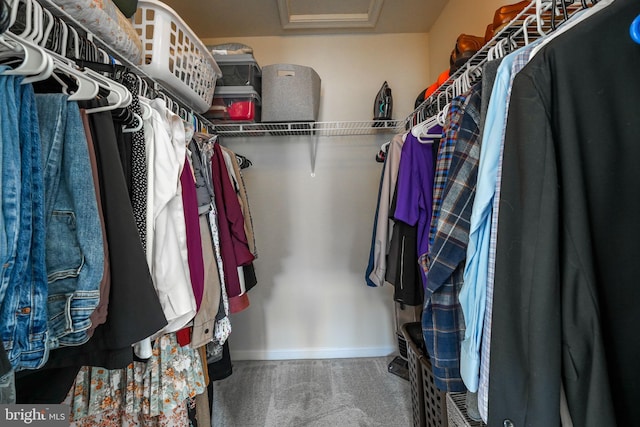 walk in closet with carpet flooring