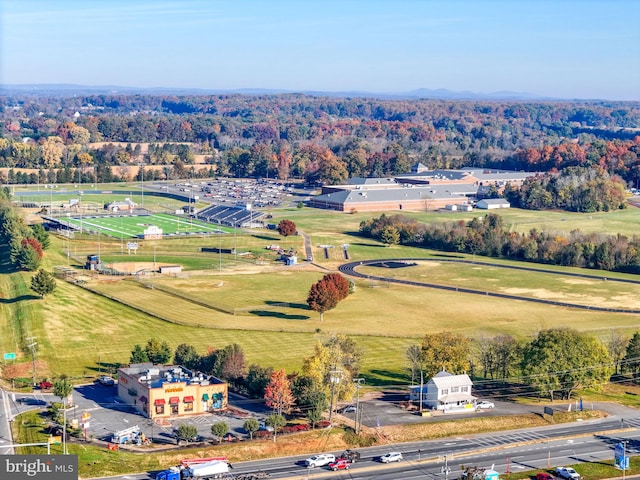 bird's eye view