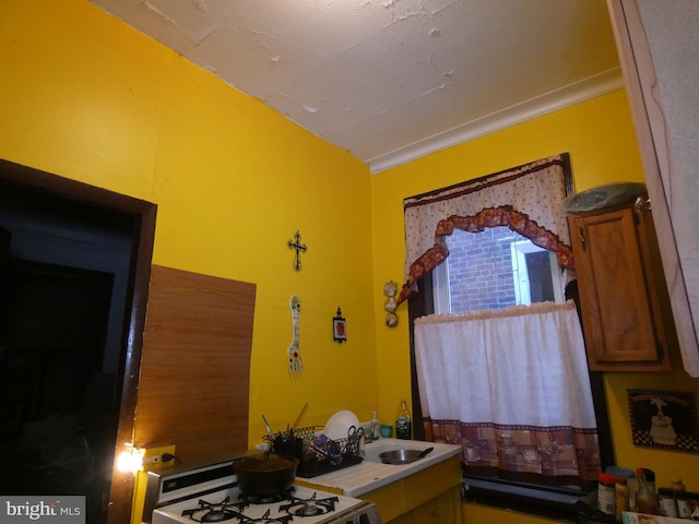 bathroom featuring ornamental molding and sink