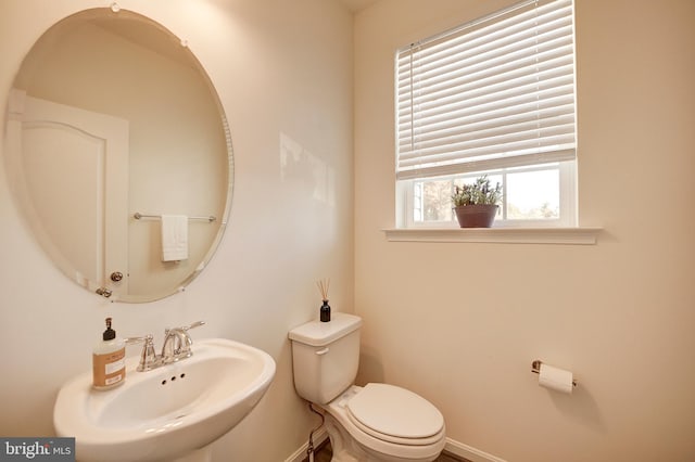 bathroom with sink, toilet, and a wealth of natural light