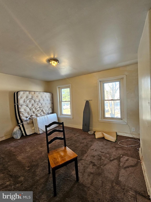 bedroom with carpet flooring