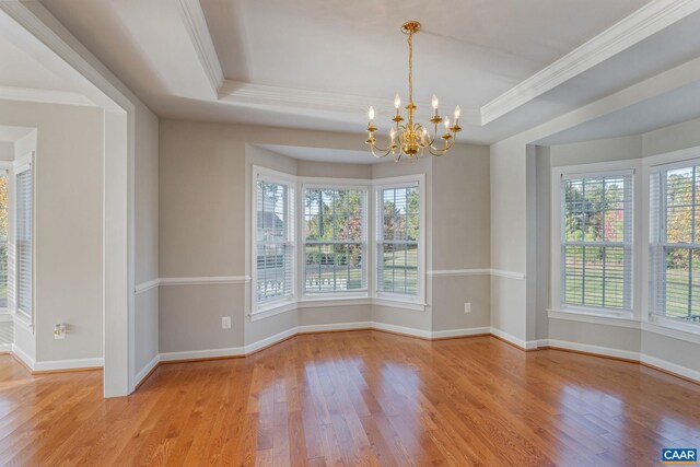 unfurnished dining area with a tray ceiling, plenty of natural light, and wood finished floors