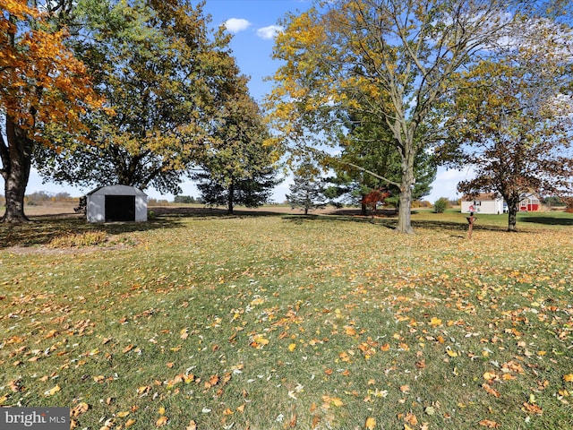 view of yard with a storage shed