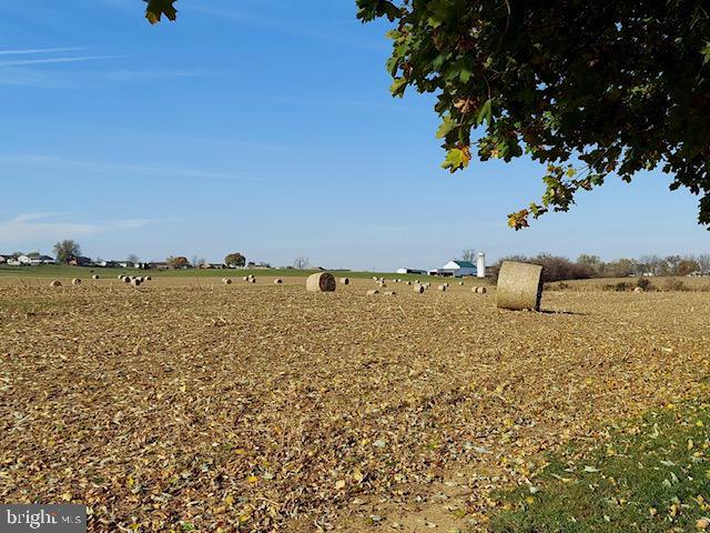 view of yard with a rural view