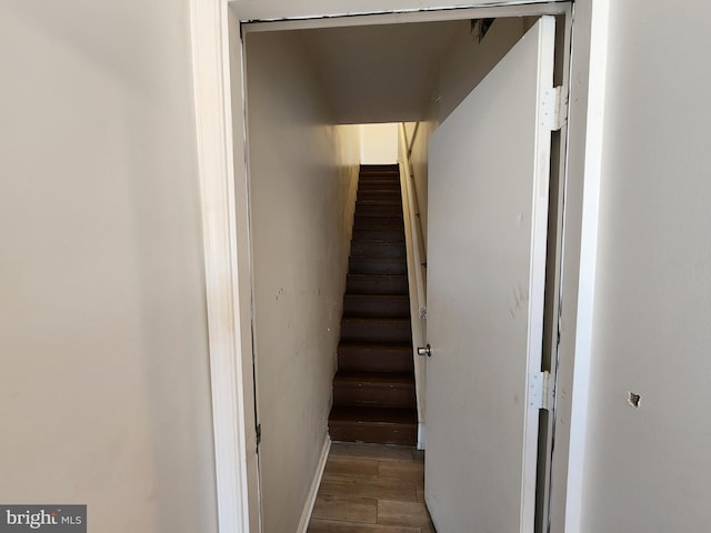 stairway with hardwood / wood-style floors