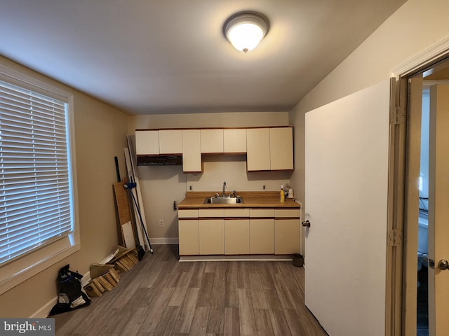 kitchen featuring sink and dark hardwood / wood-style flooring