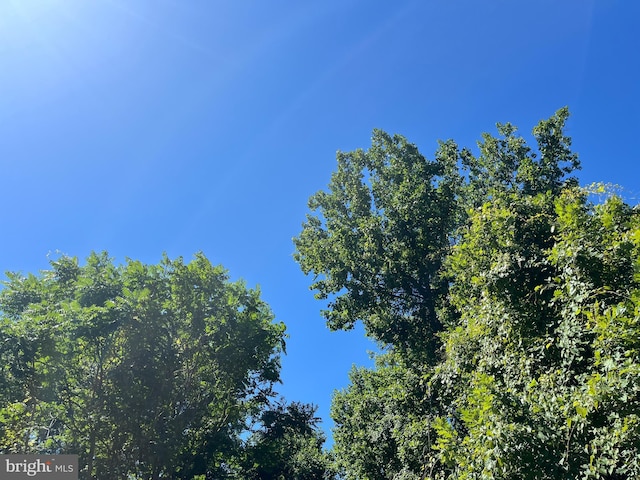 16301 Saint Thomas Church Rd, Upper Marlboro, MD 20772 - view of landscape