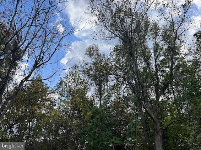 16301 Saint Thomas Church Rd, Upper Marlboro, MD 20772 - view of local wilderness