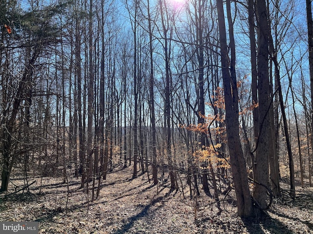16301 Saint Thomas Church Rd, Upper Marlboro, MD 20772 - view of nature