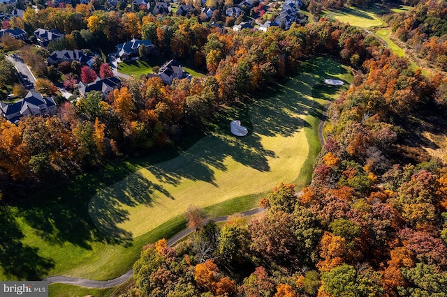 bird's eye view