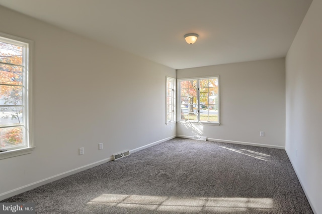 spare room featuring a healthy amount of sunlight and carpet flooring