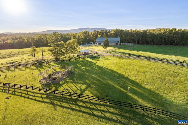 view of yard with a mountain view and a rural view