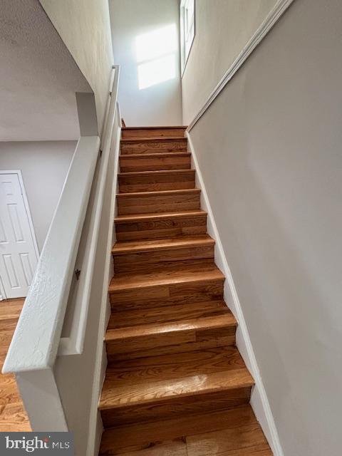 stairway with hardwood / wood-style flooring