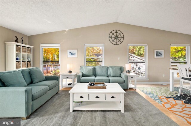 living room with hardwood / wood-style flooring, a textured ceiling, and vaulted ceiling