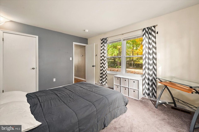 view of carpeted bedroom