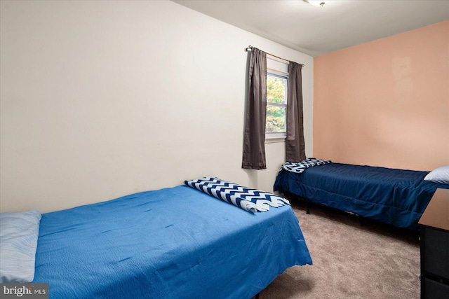 702 Ocean Pkwy, Ocean Pines, MD 21811 - view of carpeted bedroom