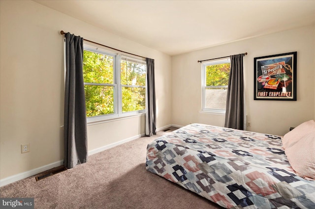 bedroom with carpet