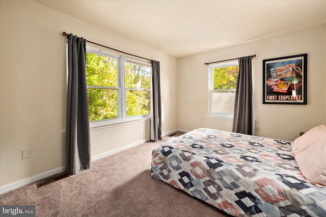 702 Ocean Pkwy, Ocean Pines, MD 21811 - bedroom with baseboards and carpet flooring