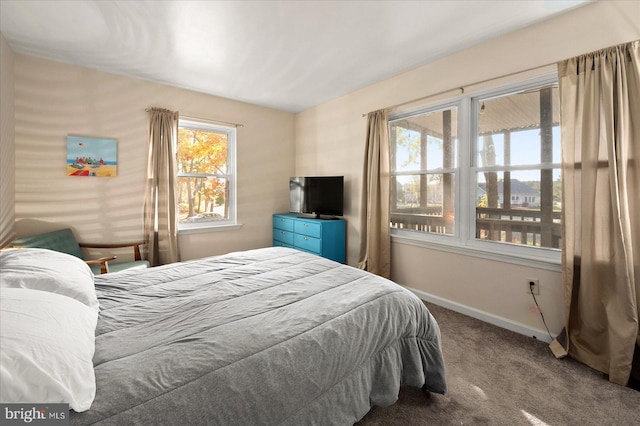 bedroom featuring carpet