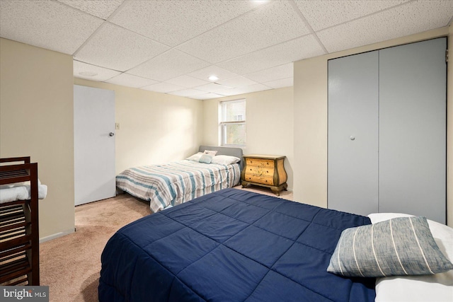 carpeted bedroom with a paneled ceiling and a closet